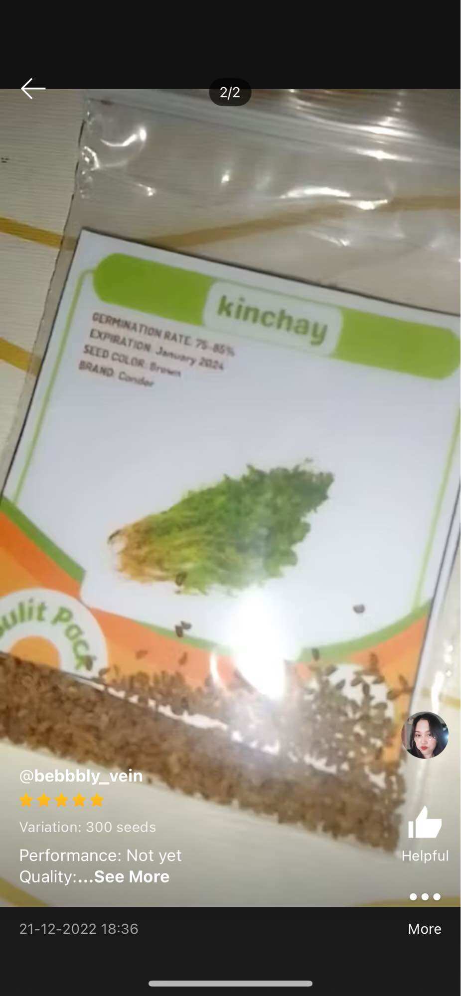 Kinchay Powder KINCHAY herbs and spices seeds gardening | Lazada PH