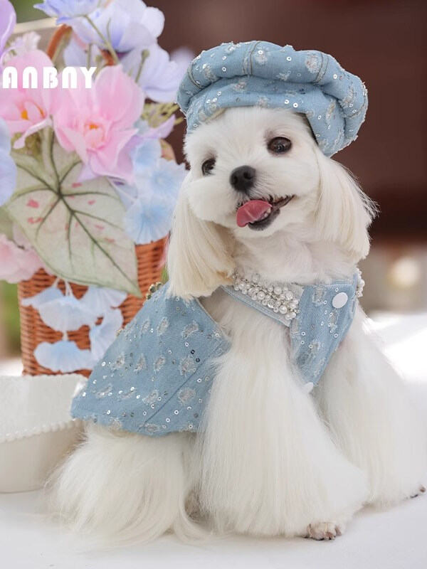 Poldo Ben Fleece Lined Winter Dog Clothes Yorkie Poodle Small Breed Dog Jeans Style Warm Pet Vest Casual Doggie Outfit Presyo 1,648 Piso*Libreng Shipping