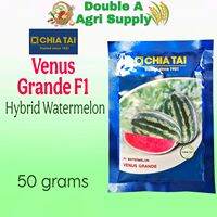 Venus Grande F1 Hybrid Watermelon 50 grams - Chia Tai Seeds