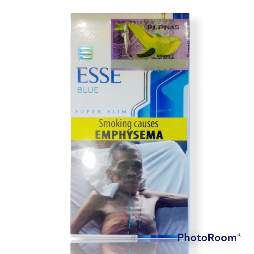 ESSE blue slim 1pack | Lazada PH