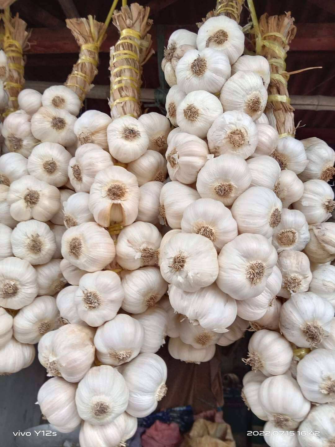 1/2 kilo braided ilocos native bawang (garlic) product of pasuquin