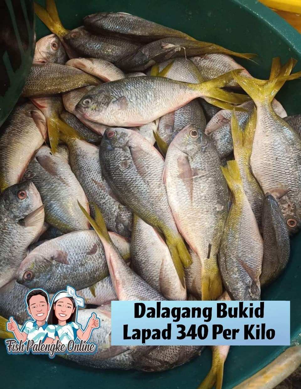 dalagang-bukid-dalagang-bukid-lapad-1kg-lazada-ph