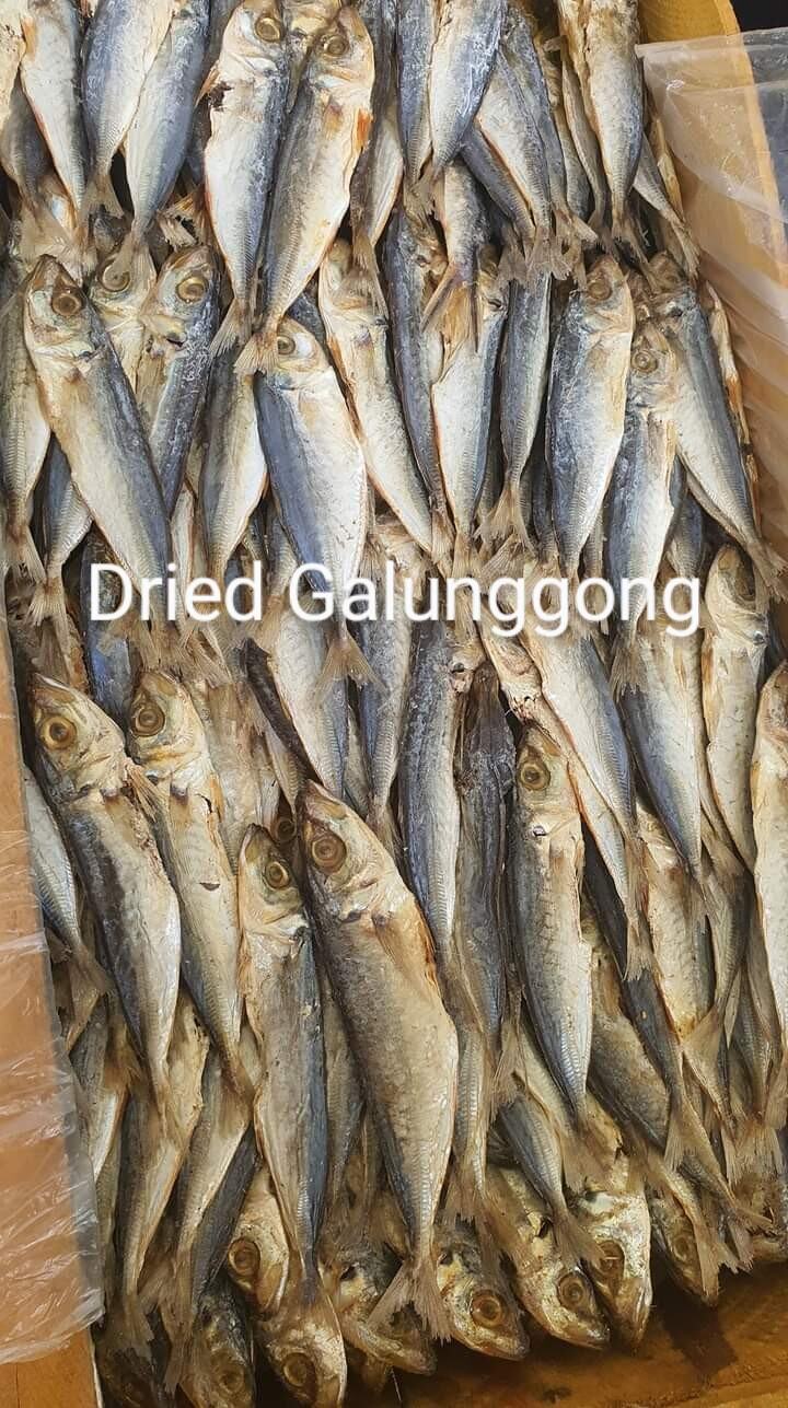 TUYO DRIED FISH GALUNGGONG 1/2 KILO Lazada PH
