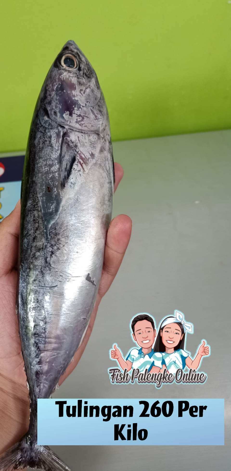 Tulingan Fish Tulingan 1kg Lazada Ph