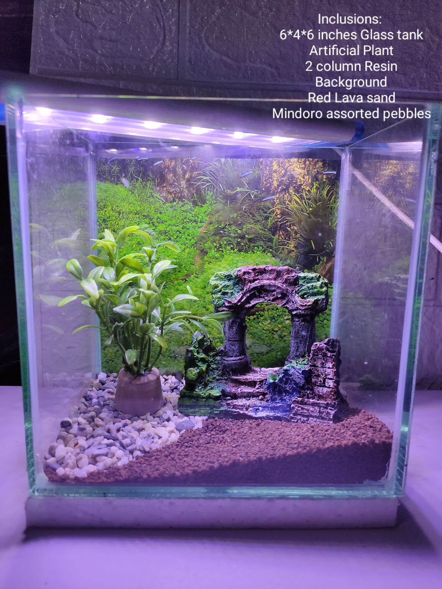 BETTA TANK COMPLETE SET 6*4*6 AQUARIUM Lazada PH