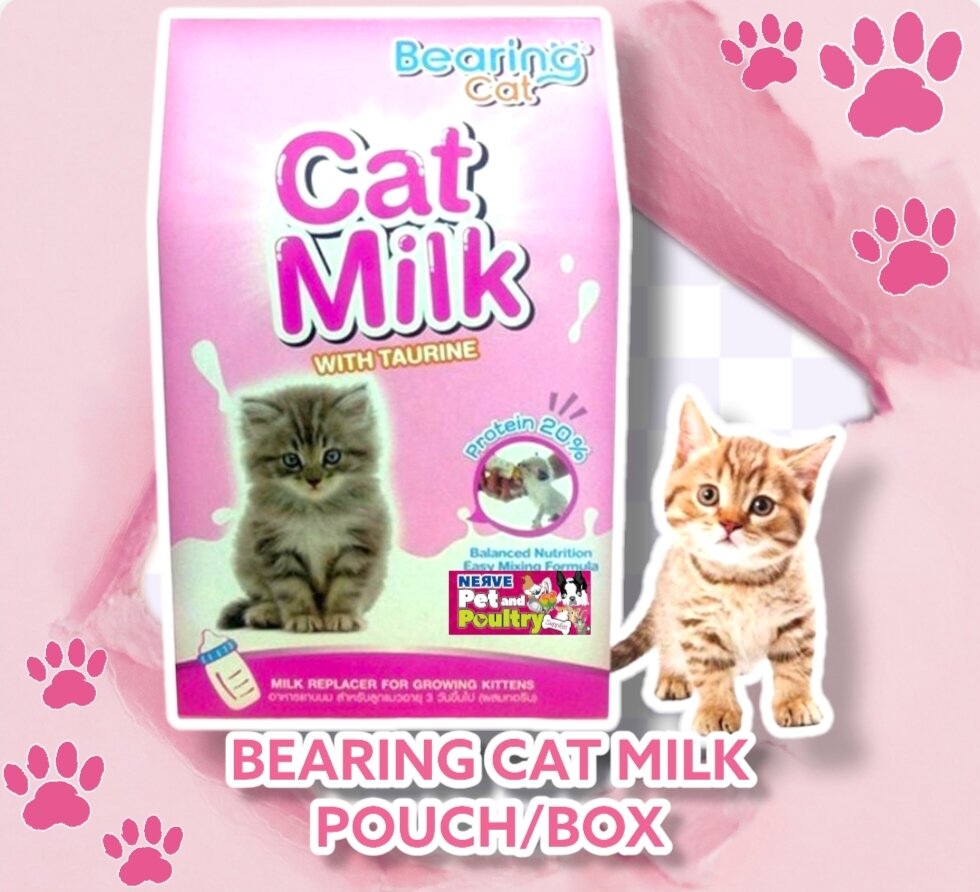 BEARING CAT MILK 100G WITH TAURINE MILK REPLACER Lazada PH