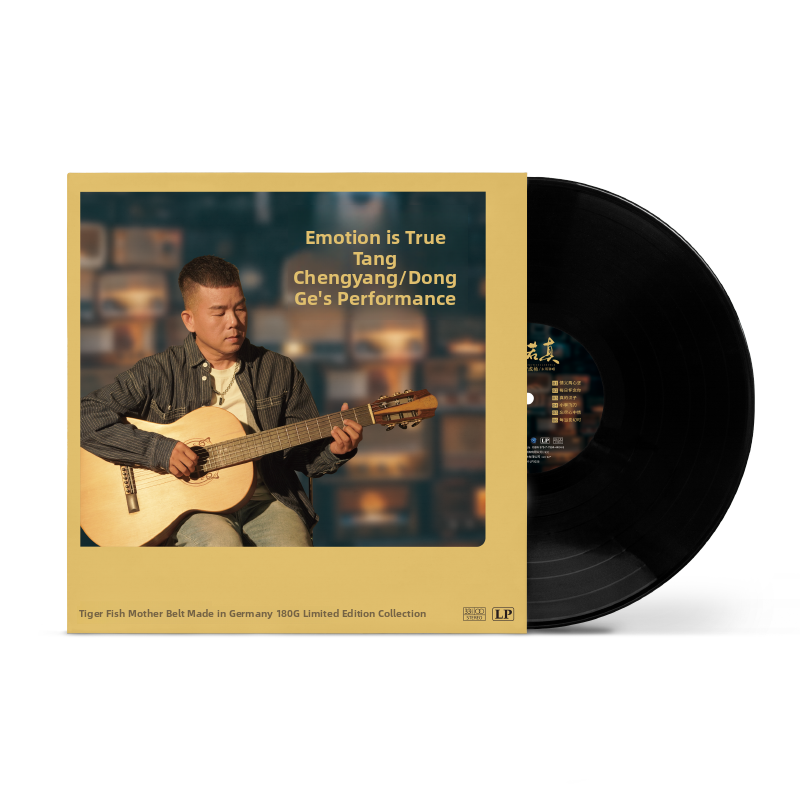 Vinyl Record 12-inch