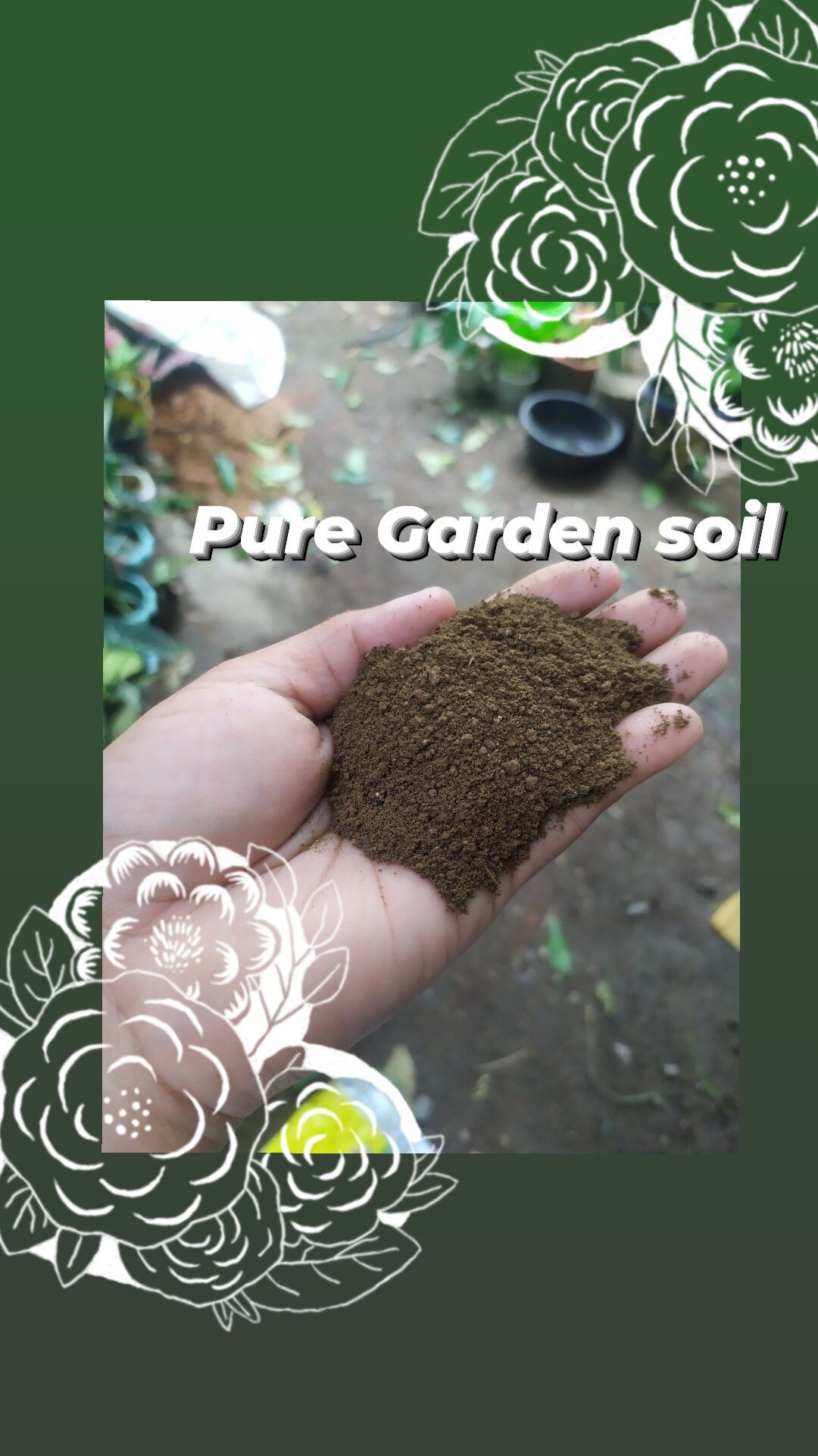 Pure Garden soil Plain Garden Soil (2kg) Lazada PH