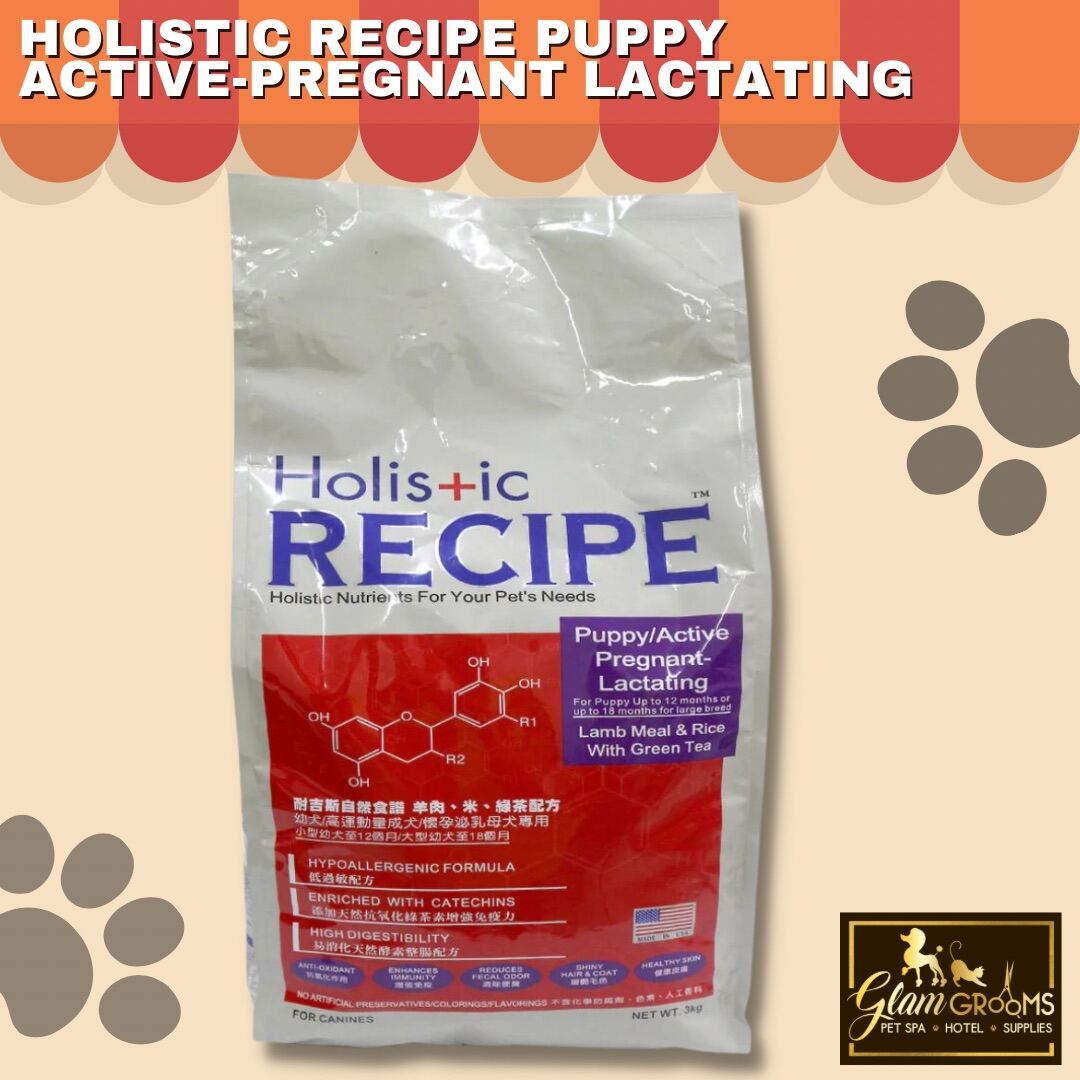 holistic-recipe-puppy-3kg-lazada-ph