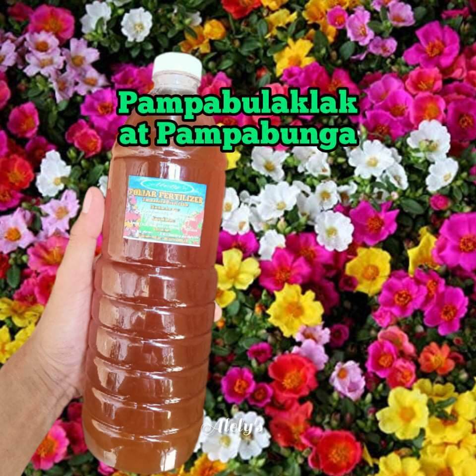 Fermented Fruit Juice (FFJ) with pure Molasses Foliar Fertilizer Lazada PH