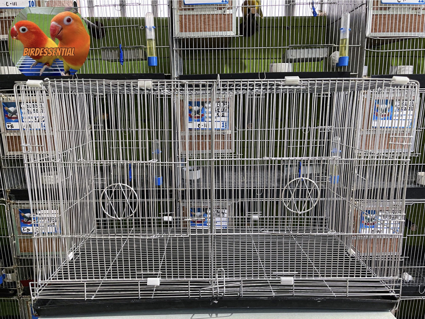 Collapsible Double Cage  with divider for birds