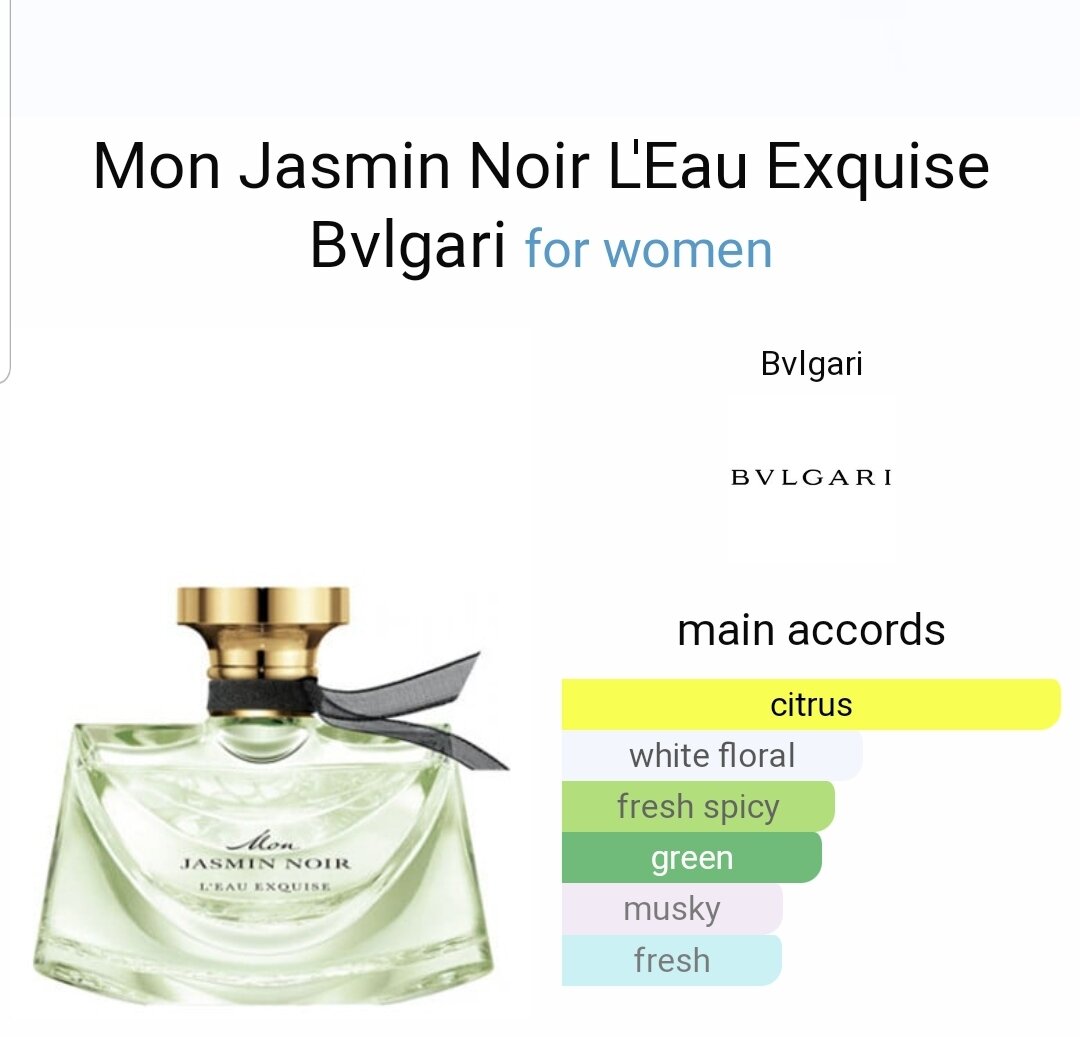 Bvlgari jasmin noir clearance macy's