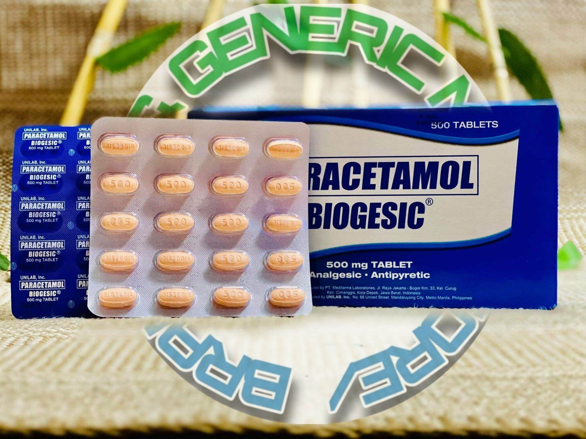Biogesic 10 Tablet 500mg For Pain Relief & Fever Lazada PH