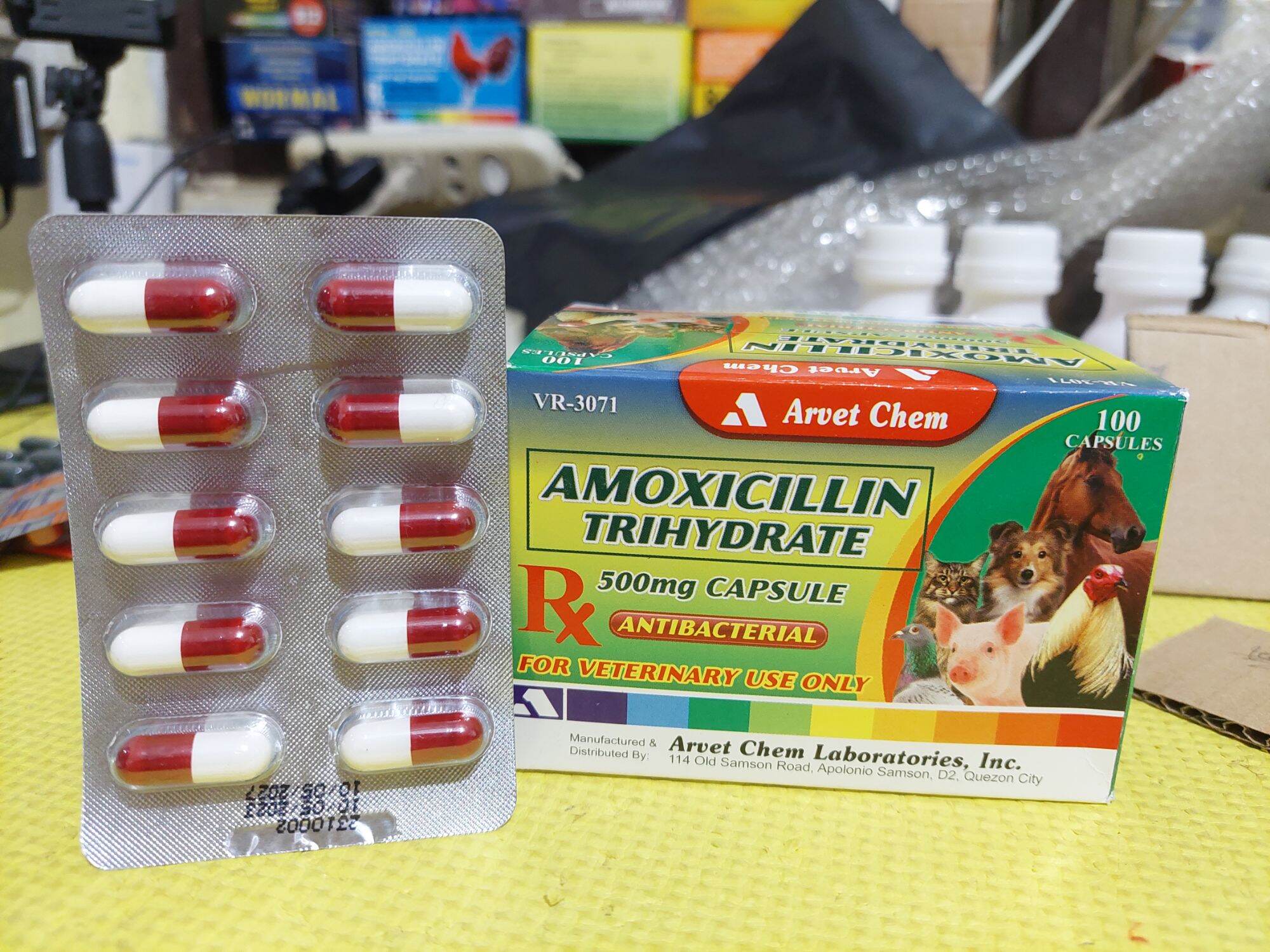 Amoxicillin 500MG Sold 10 Capsules