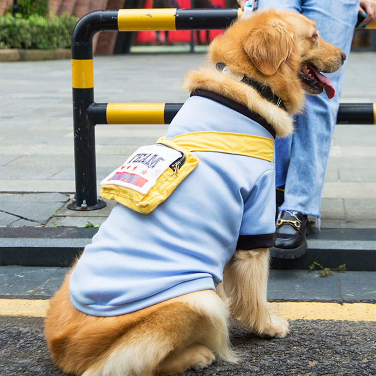 Dog Clothes For Large Dogs Pure Cotton T-Shirt Labrador Golden Retriever  Satsuma Anti-Shedding