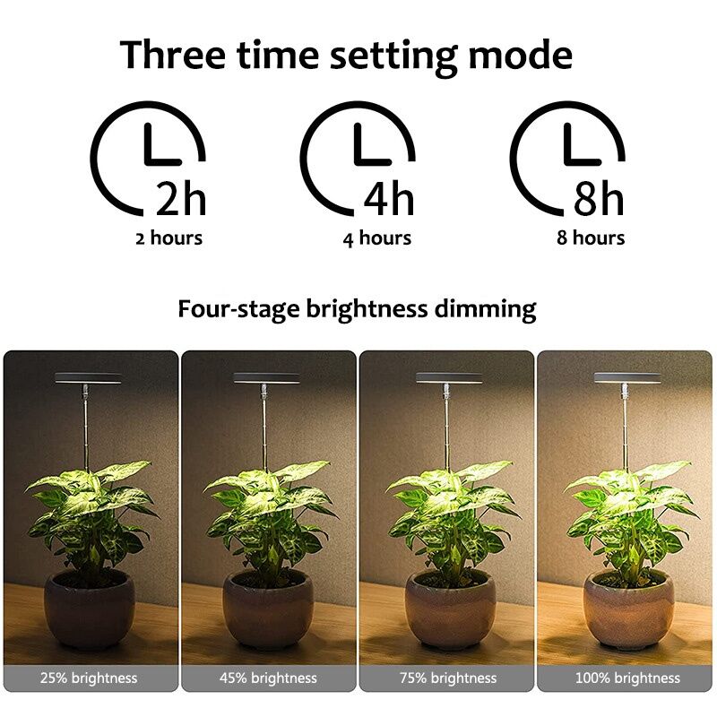 LED Indoor  Angel Ring Plant Growth Light 2/4/8H On/Off Timer USB 5V Retractable Height Full Spectrum Simulated Sunlight Plant. 