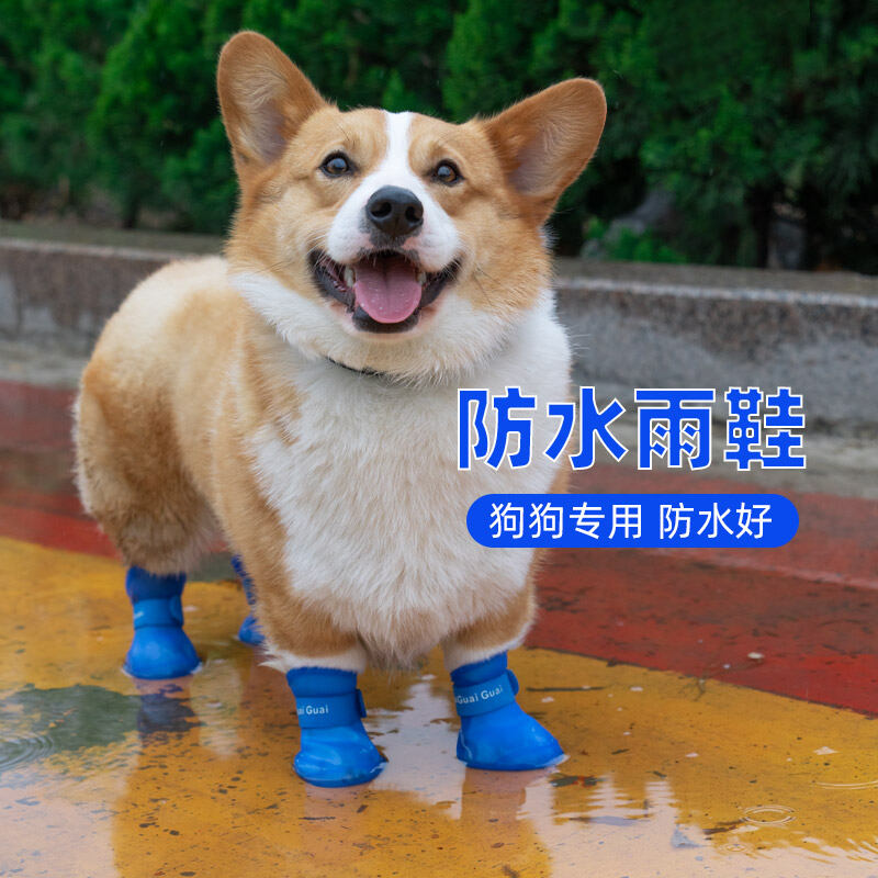 Corgi booties sales