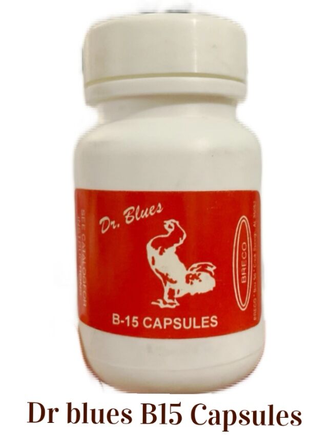 Dr. Blues B15 Capsules Lazada PH