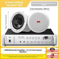 Aigo | In-Ceiling Background Music Amplifier Speakers Embedded