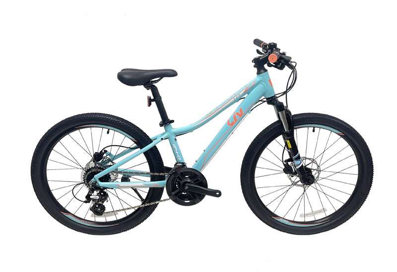 Giant Liv Liyifu Cate24-D1 24-Inch Mountain Bike