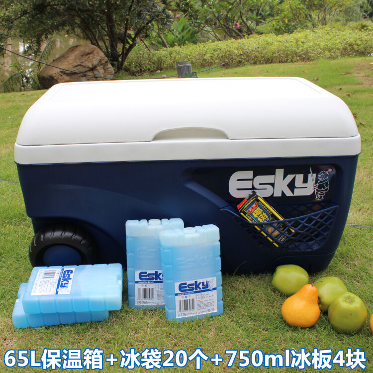 Esky Incubator 50L Car Mini Refrigerator 52 Outdoor Cold Preservation
