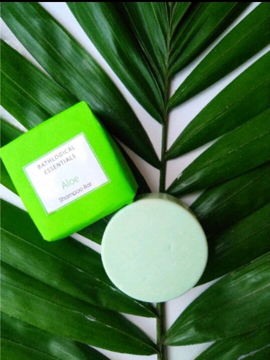 Aloe Vera Shampoo Bar Lazada PH