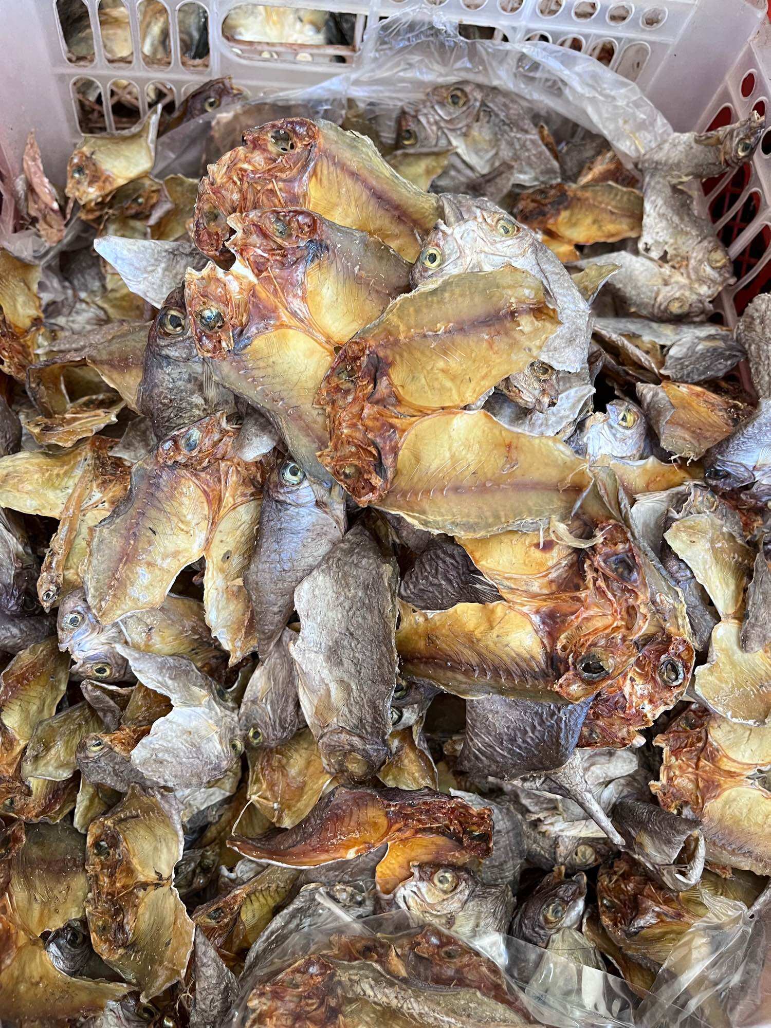 (VACUUMED SEALED) Mindanao Dried Fish (DS) named Unsalted Danggit ...