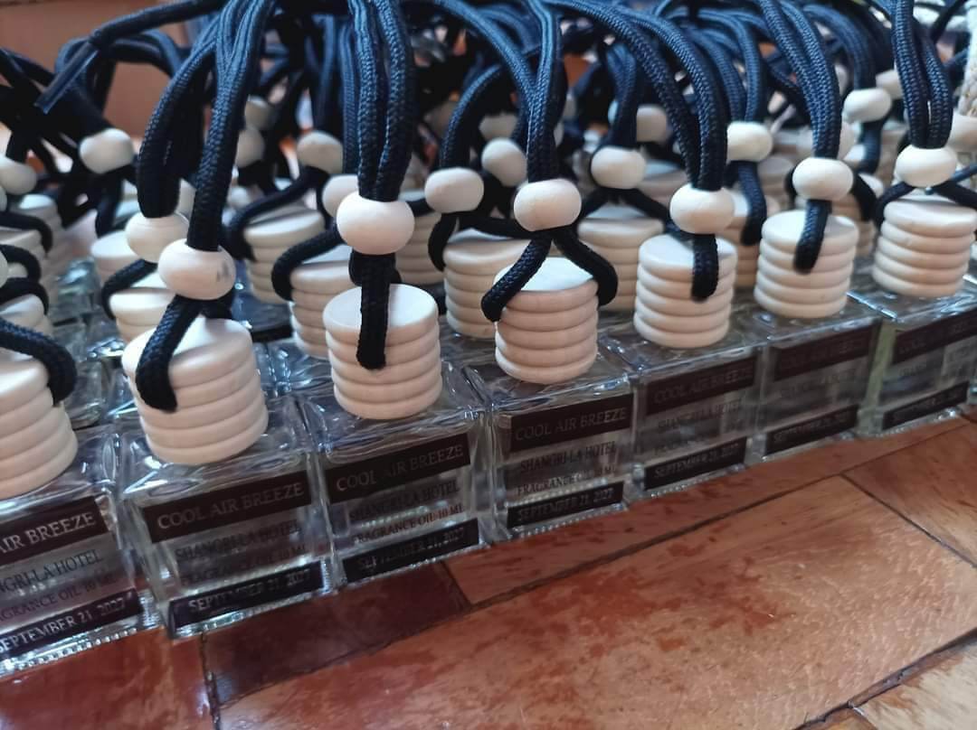 COOLAIRBREEZE HANGING DIFFUSER Lazada PH