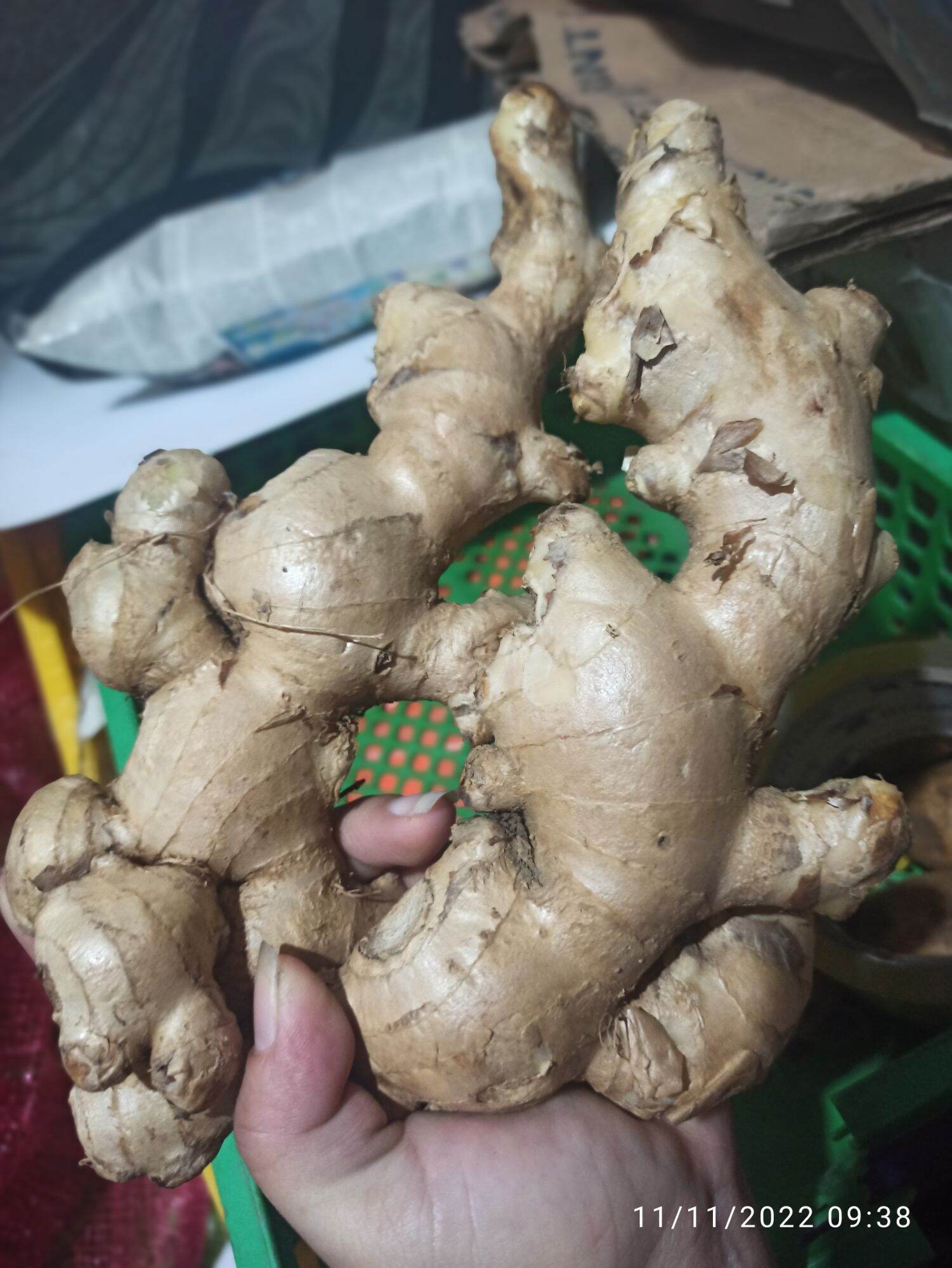 Luya Tagalog 1/2klg Lazada PH