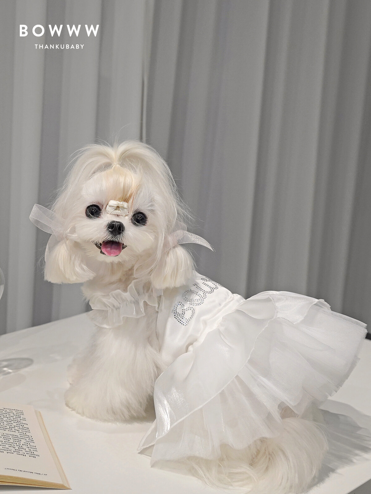 BOWWW Luxury Diamond Ballet Princess Dog Dress Small Dog Clothes for Maltese Bichon Yorkie Pet Dogs Summer Spring Autumn Presyo  2,002 Piso*Libreng Shipping