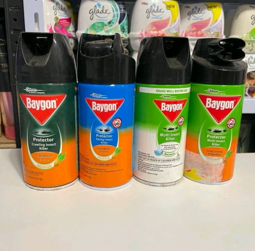 Baygon insect killer 300g ( random variant )