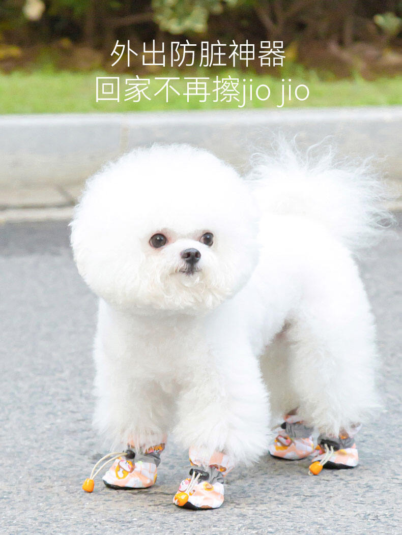 Bichon shoes outlet