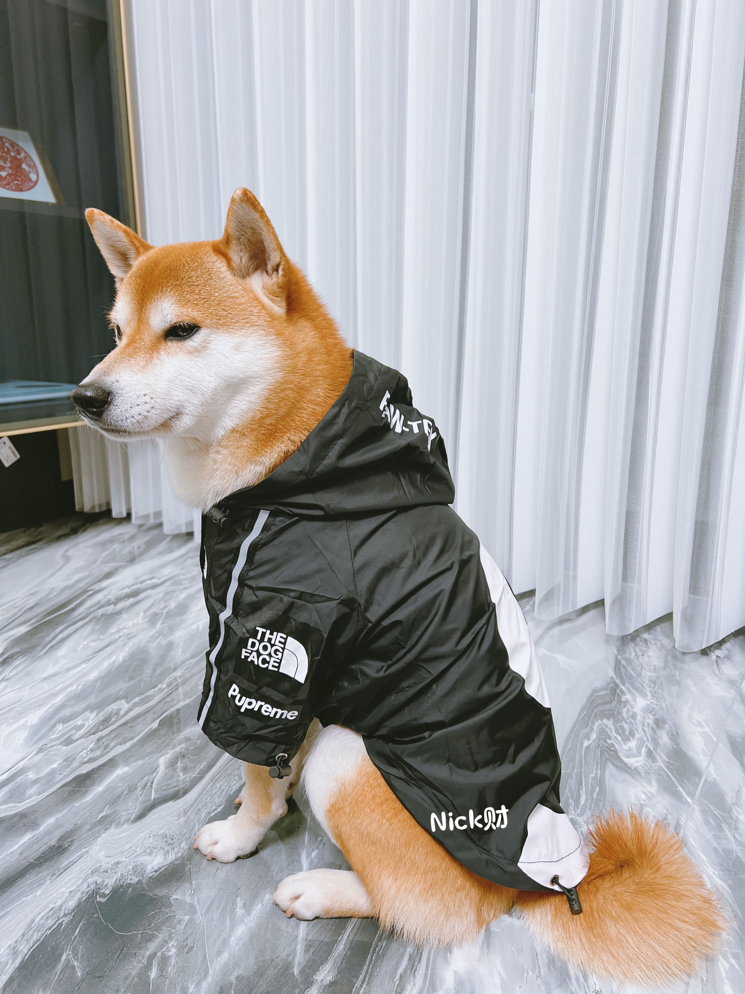 Shiba 2024 inu clothes