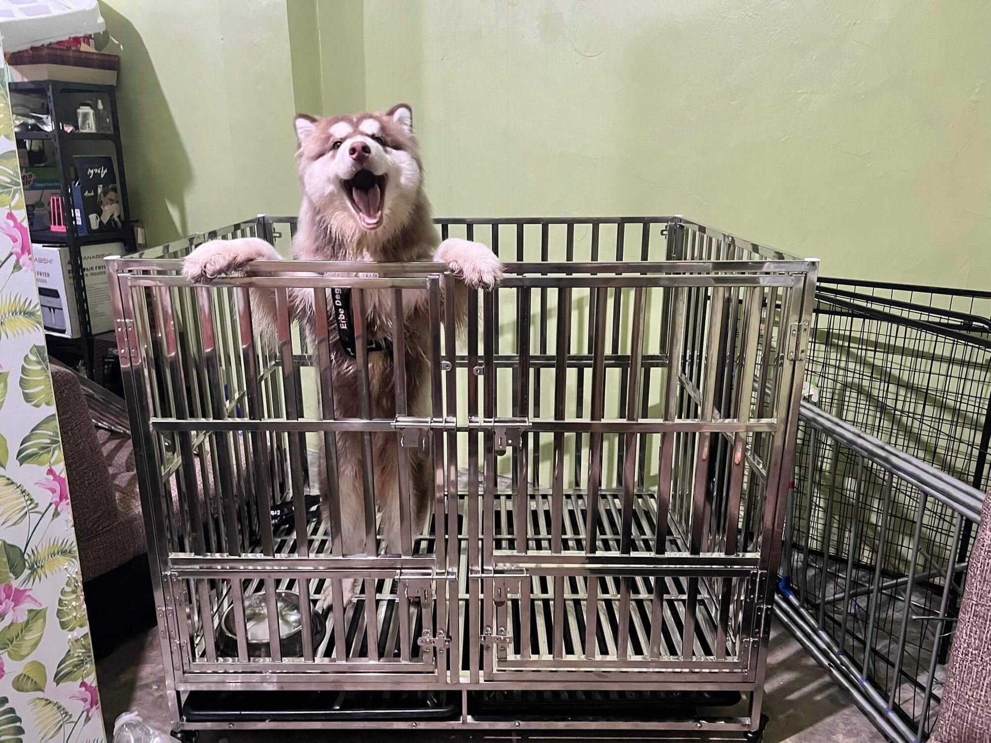 [LARGE] PRIME FOLDABLE Stainless Double Door Dog Cage Stainless