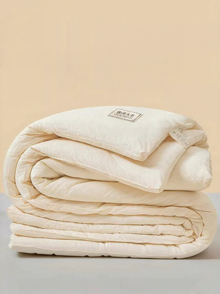 WUYINLIANGPIN | Warming Thickened Cotton Quilt Presyo 1,774 Piso*Libreng Shipping