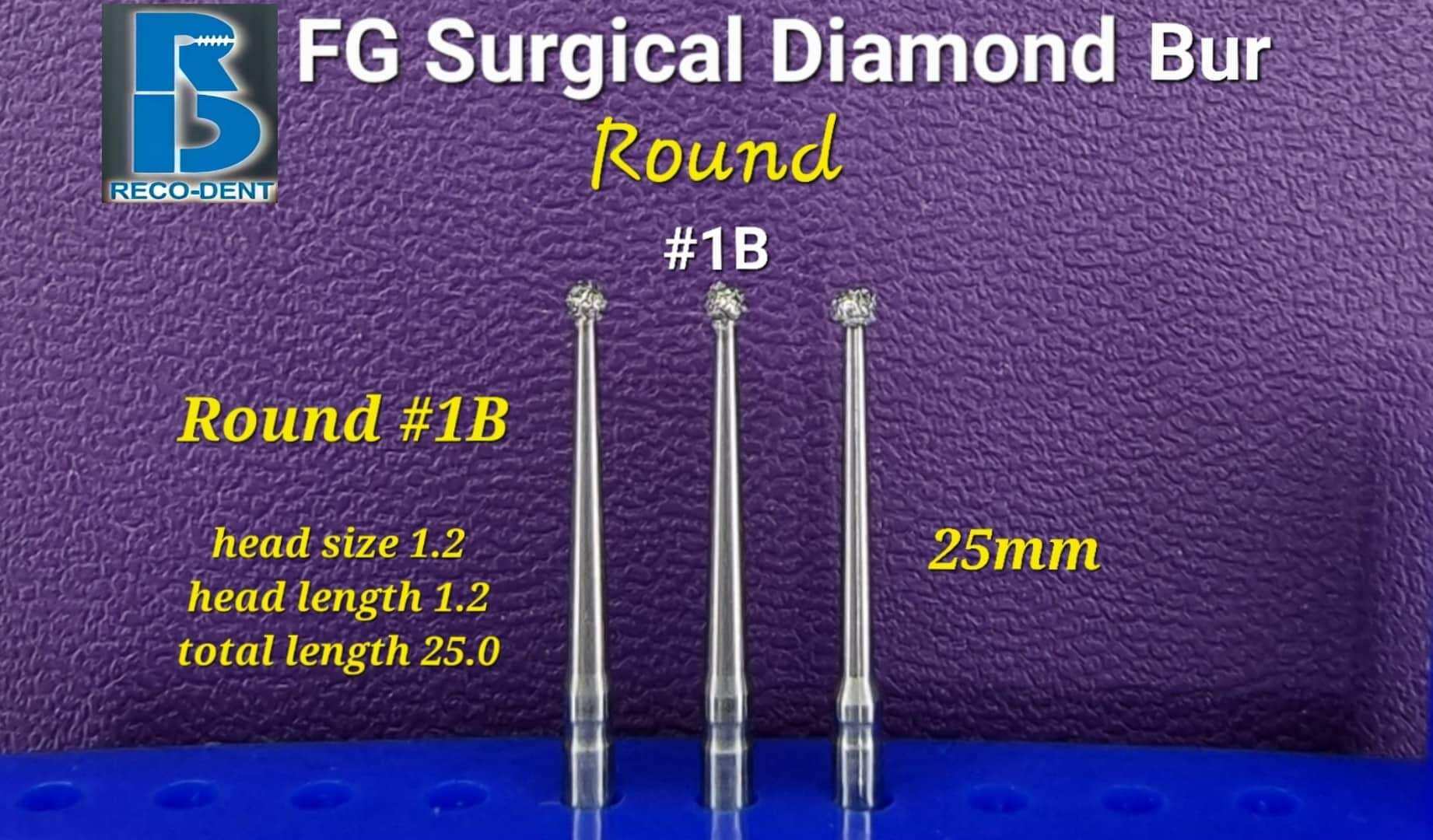 FG SURGICAL DIAMOND BUR ROUND LONG SHAFT1B / per pc Lazada PH