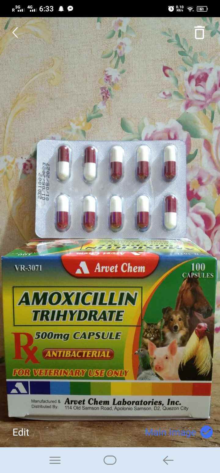 Amox 500mg sold by 10capsules