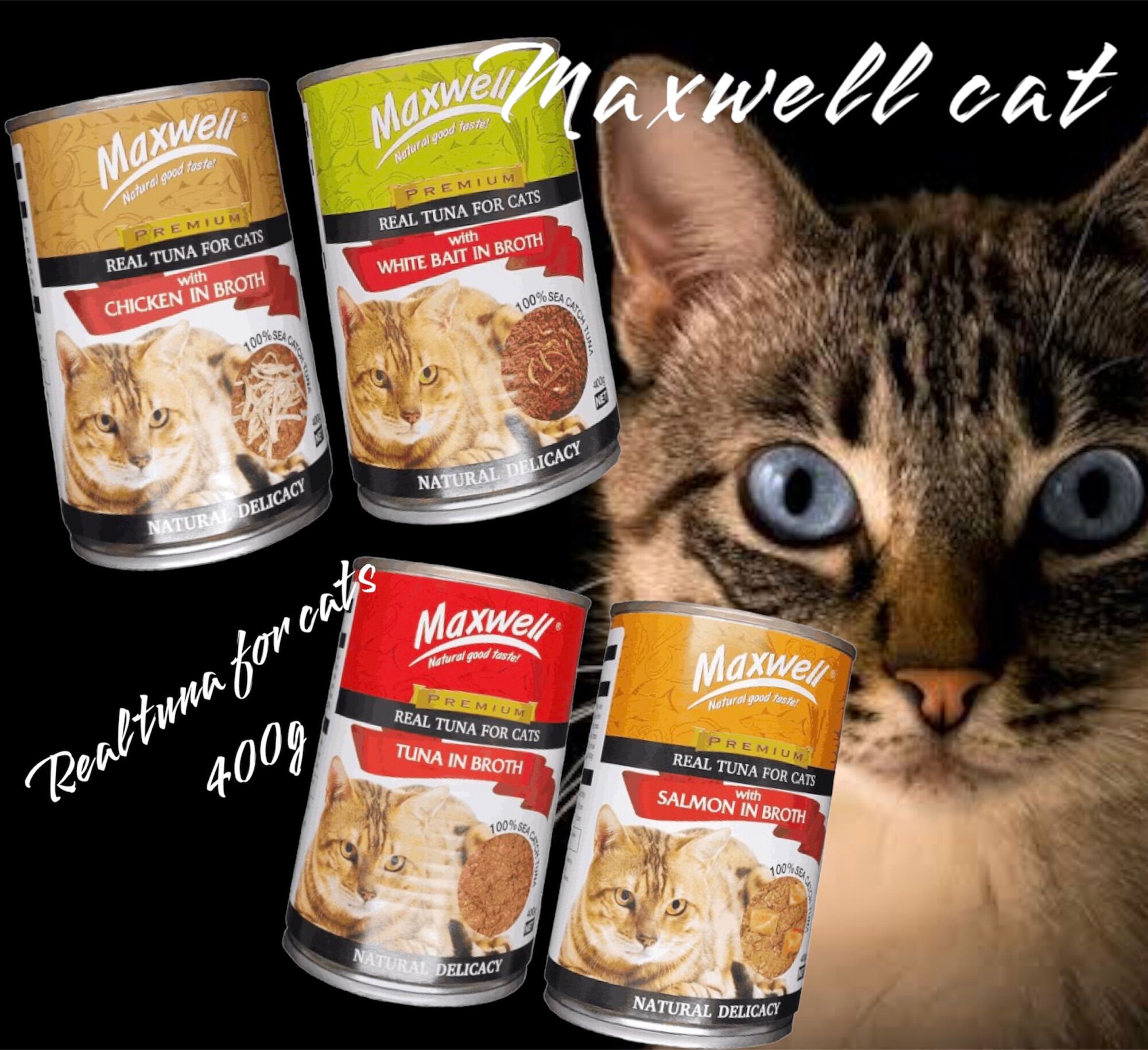 MAXWELL CATFOOD 400g Lazada PH