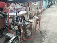 TRICYCLE COVER TRANSPARENT TRAPAL GAUGE #16 pang Harap  Gilid pang Likod  pang TABING pang SAPIN WATERPROOF HIGH QUALITY
