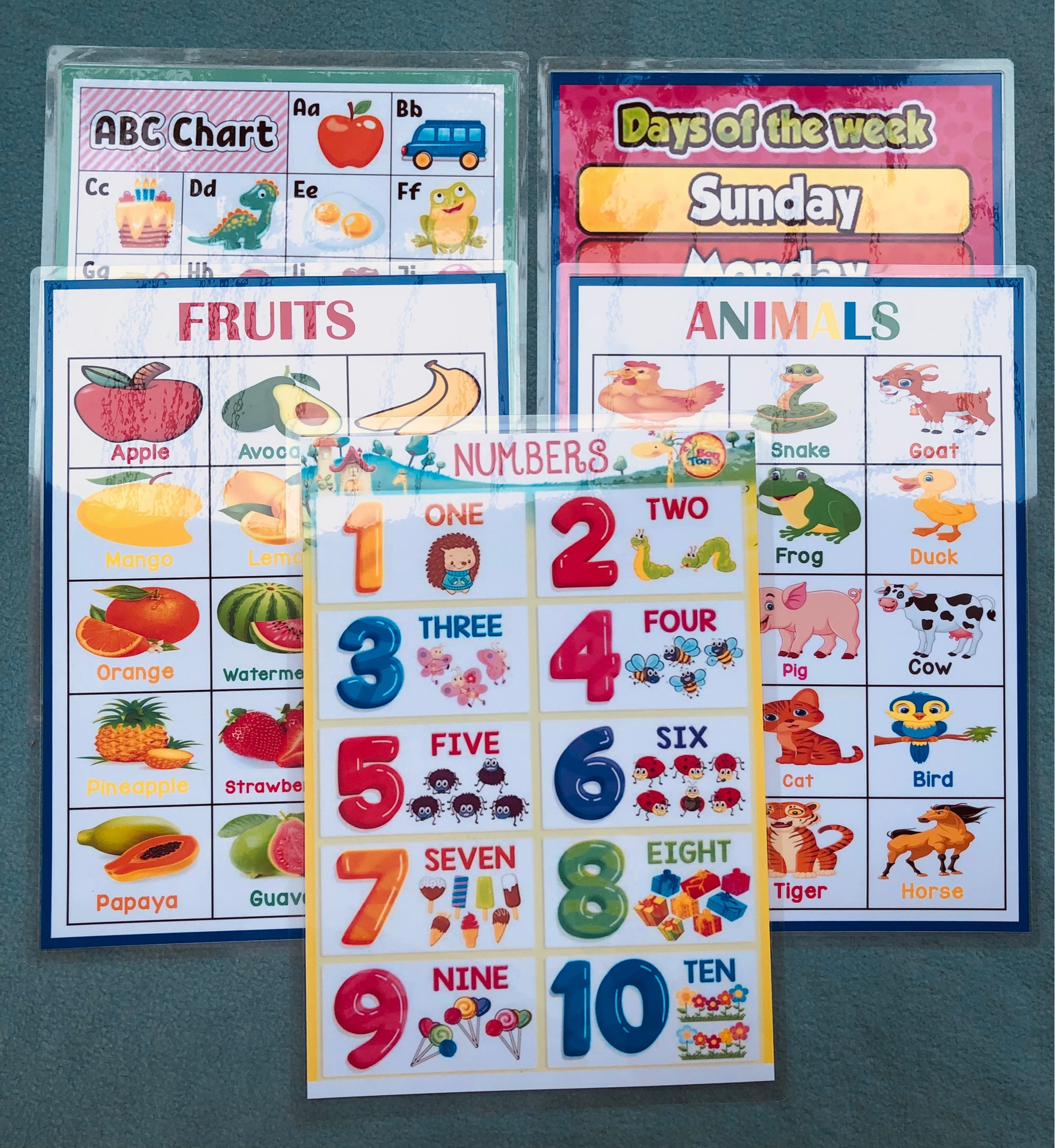 Laminated Educational Chart A4 Size Lazada Ph 5095