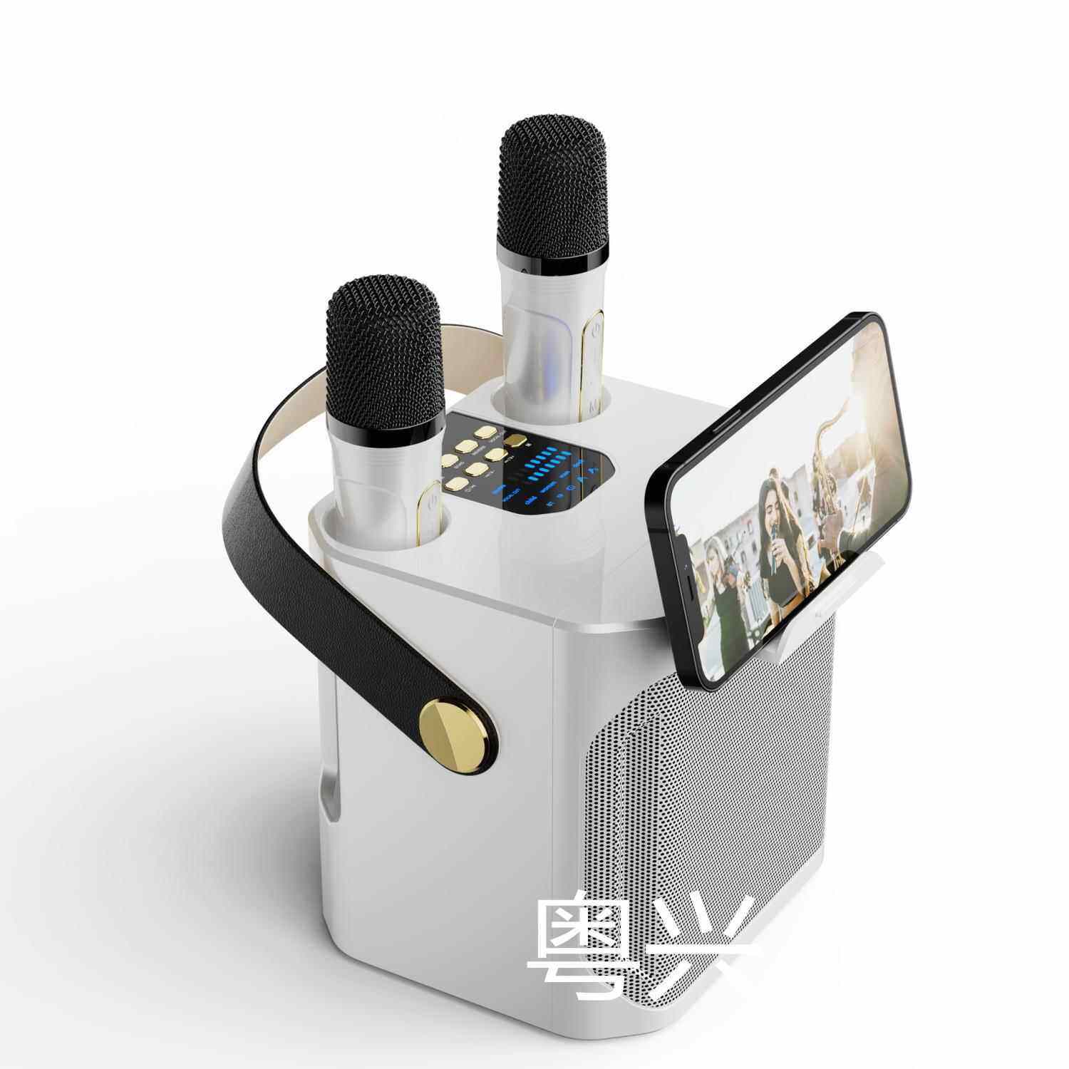 Poyingkeji | Outdoor Karaoke Bluetooth Speaker with Dual Microphones