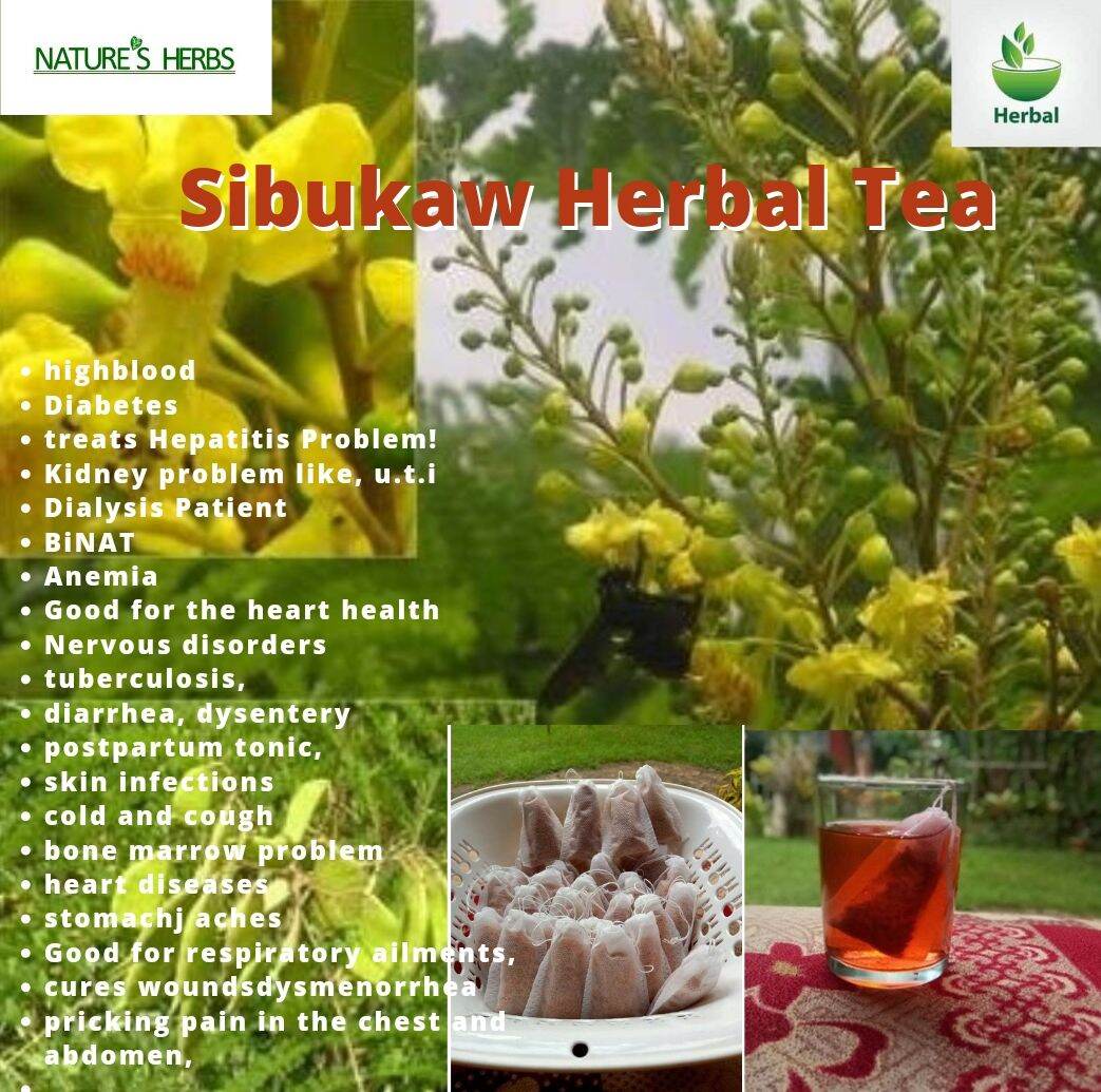 SIBUKAW HERBAL TEA 10pcs30pcs Lazada PH