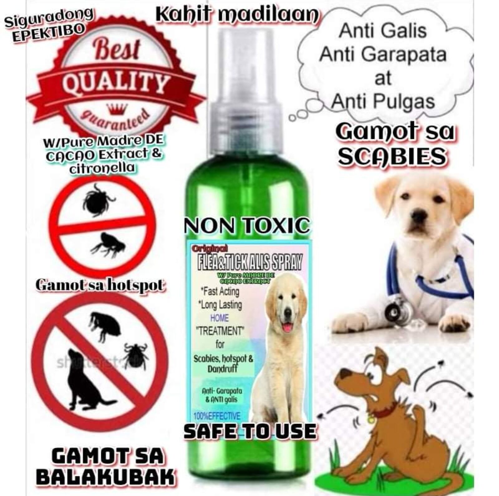 Medicine for scabies outlet for dogs