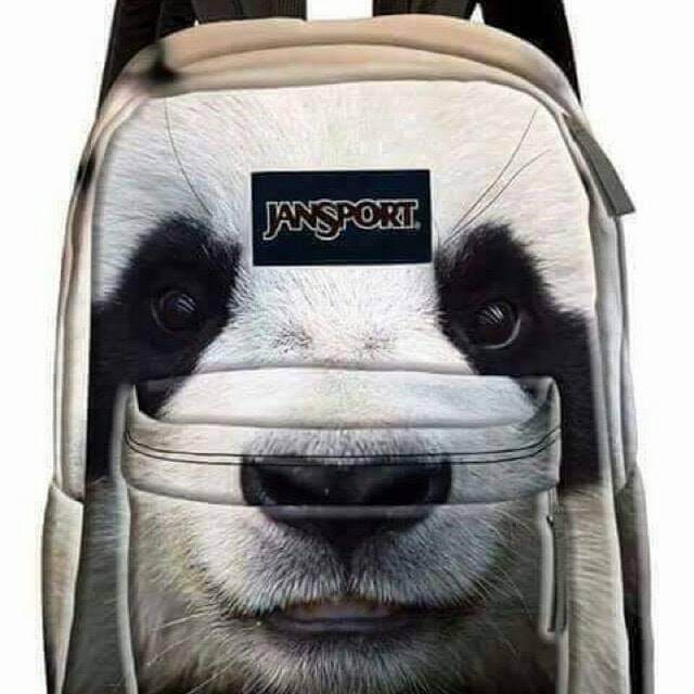 jansport backpack panda