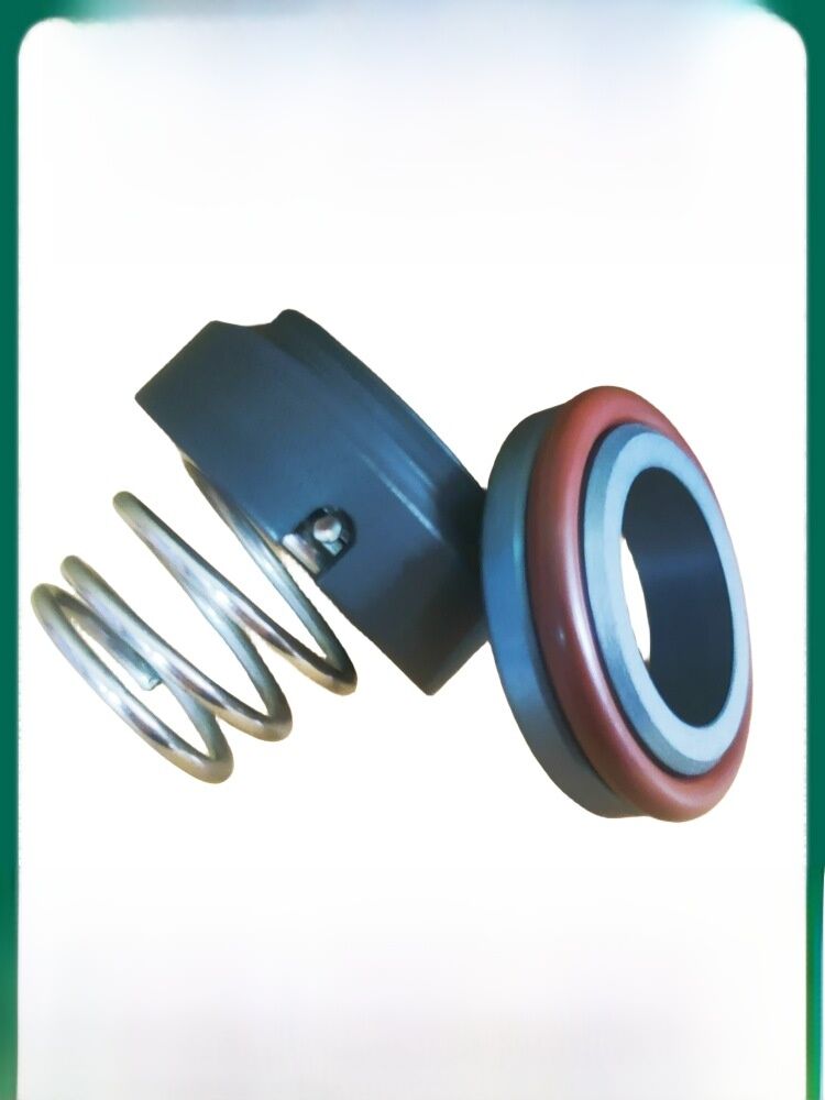 High Temperature Resistant Oil Seal 101M3N-10-12-1416-1925 Mechanical Seal for Pump/Mold Temperature Machine Graphite/Silicon Carbide Ring Fluorine Rubber