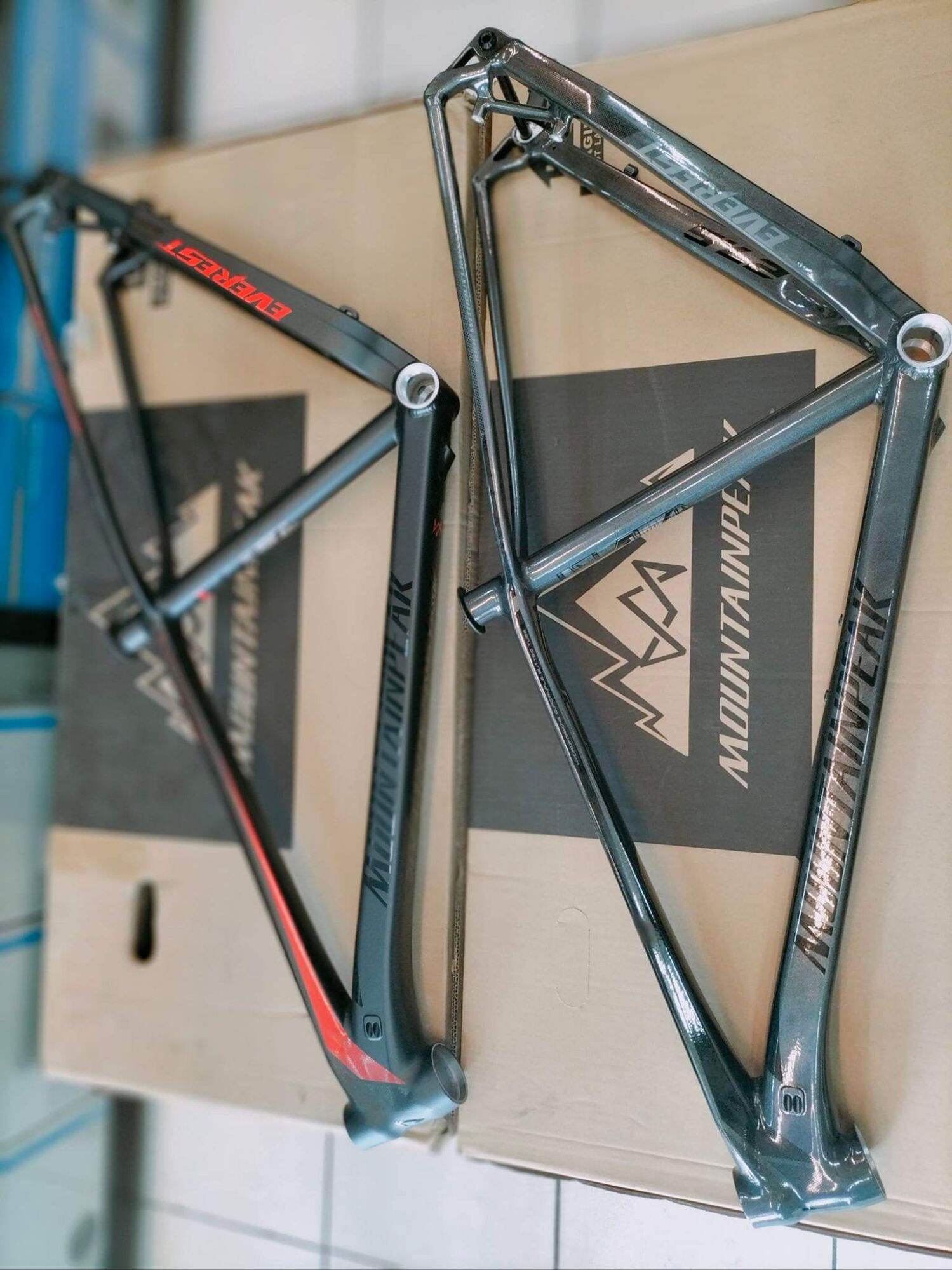 mountain peak everest frame price