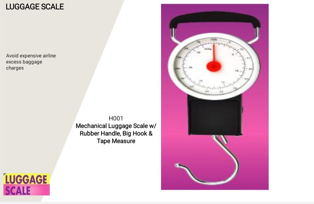 Luggage scale best sale big w