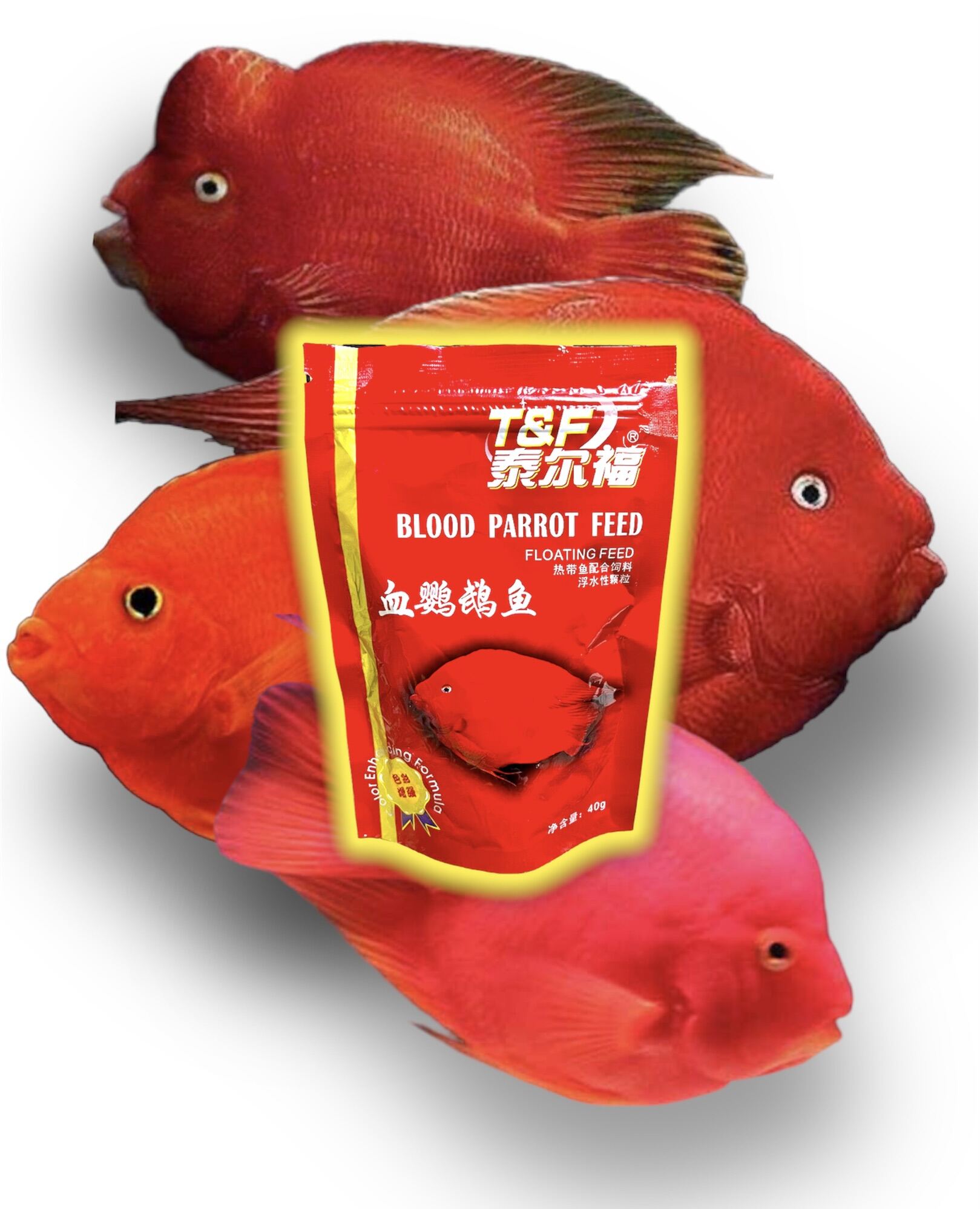 T&F RED PARROT FISH FOOD AND OTHER CICHLIDS 40g Lazada PH