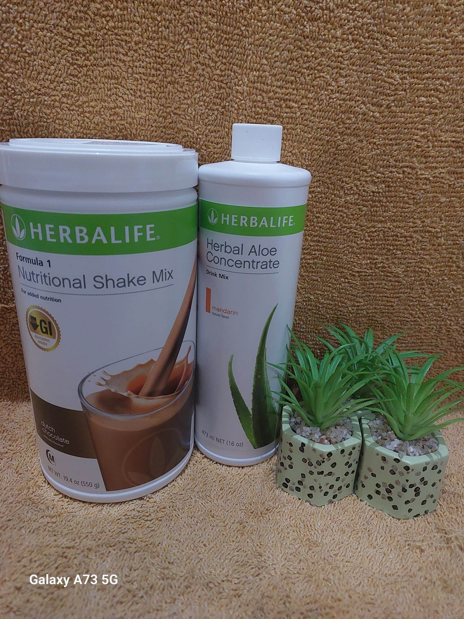 HERBALIFE SHAKE WITH ALOE MANDARIN | Lazada PH