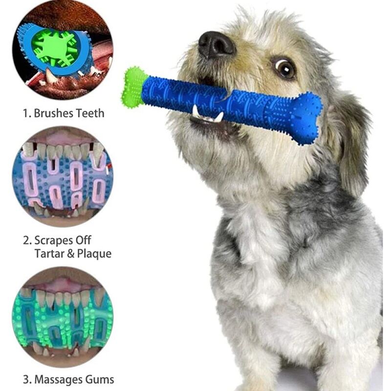 Dog Molar Stick Food Grade Bone Shape Dog Tooth Cleaning Interactive Bite Resistant for Small Pet with Slight Bite Force. 
